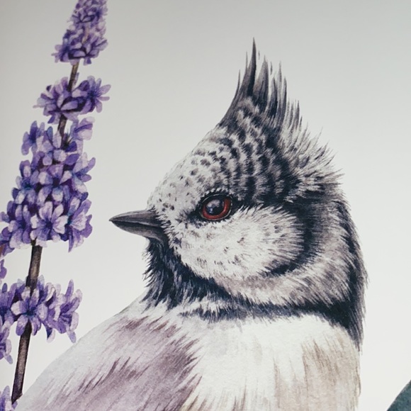 Watercolor Wall Art Print Crested Tit Illustration Unframed - Picture 9 of 17